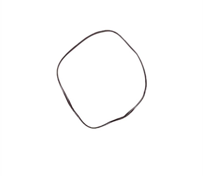 542554 Fisher & Paykel Oven Door Seal/Gasket